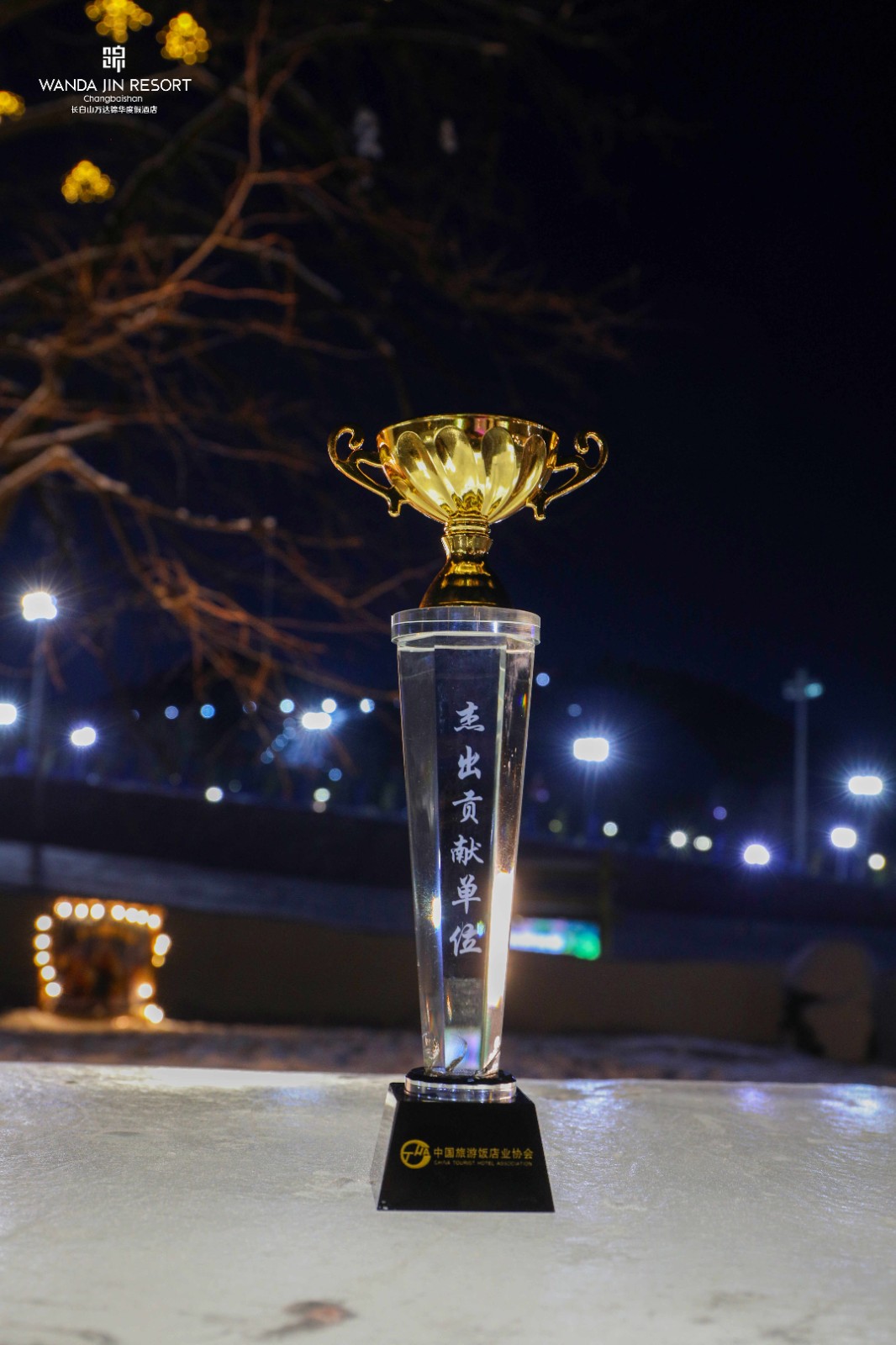 长白山万达锦华度假酒店——杰出贡献单位奖杯.jpg