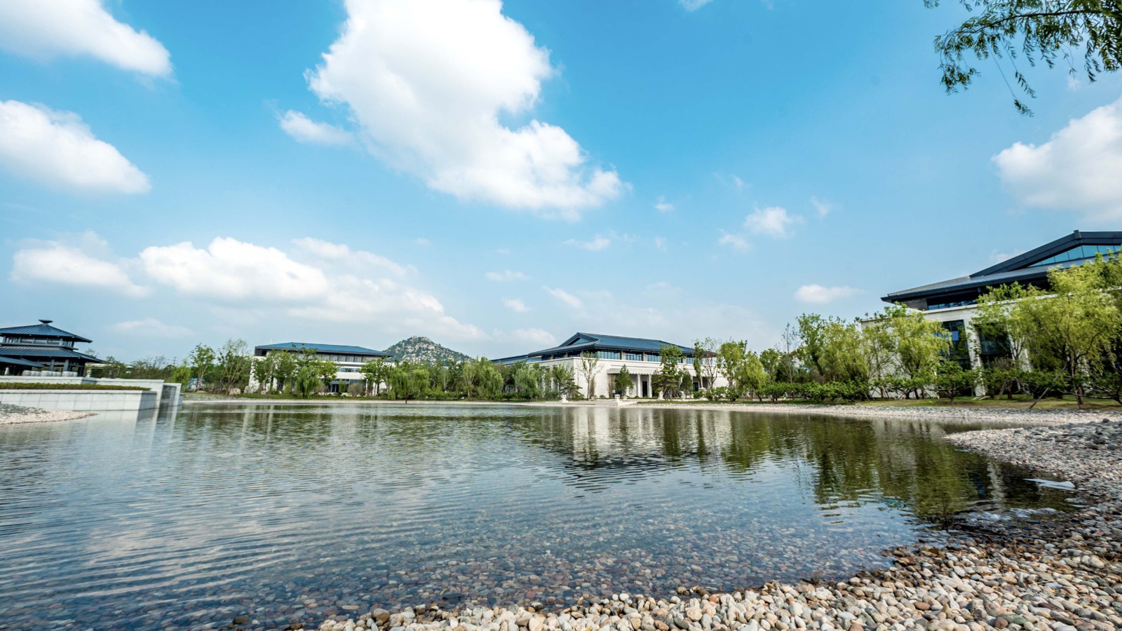 截屏2021-07-22 上午8.52.07.jpg