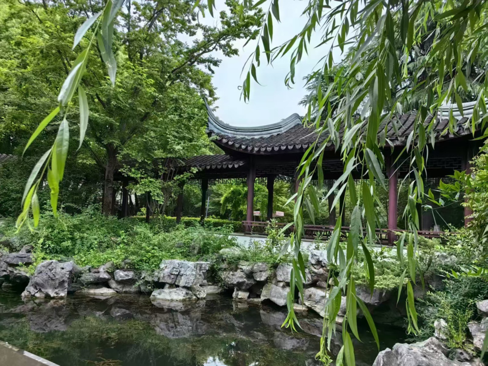 馨苑庭院 (1).jpg