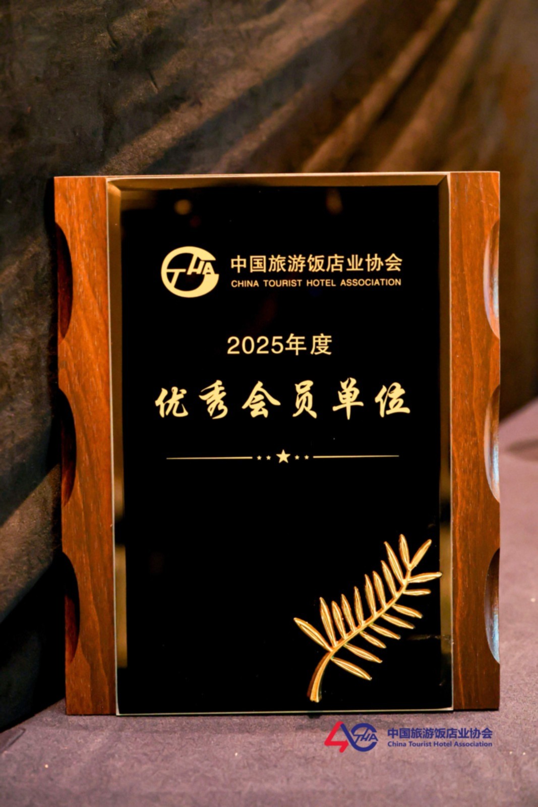 优秀会员证书.jpg